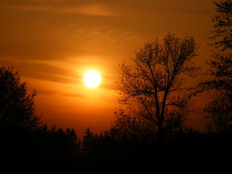 Sunset - Free Stock Photo