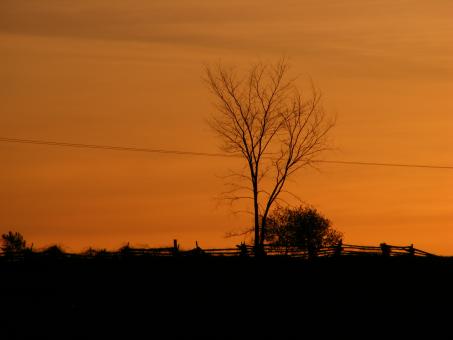 Sunset - Free Stock Photo