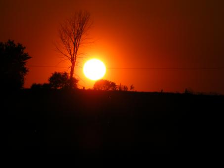 Sunset - Free Stock Photo