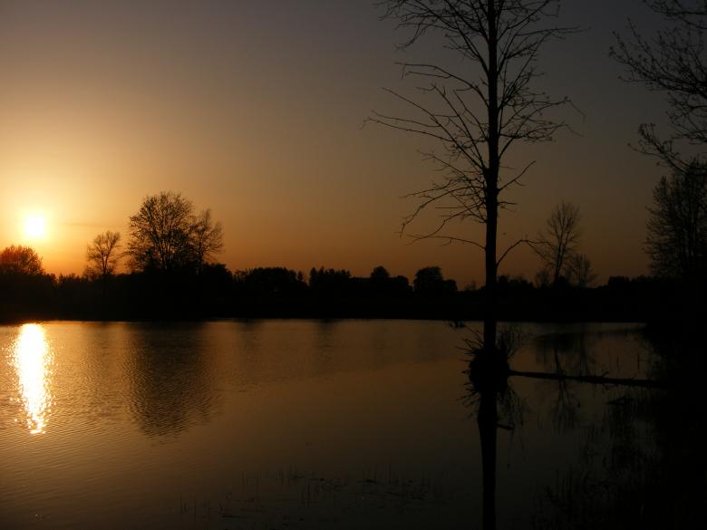 Free stock image of Sunset created by Corey Hughes