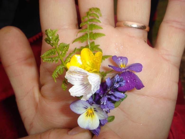 Free stock image of Flowers in a hand created by lecock