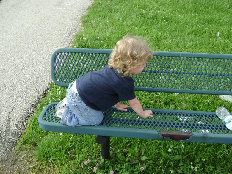 Free stock image of Conquering the Bench created by Lokigrl616