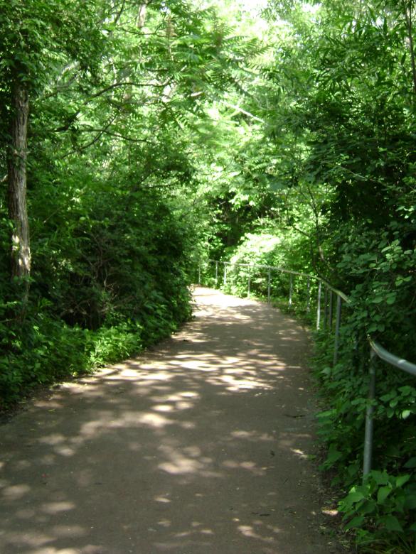 Free stock image of Path through the woods created by Lokigrl616