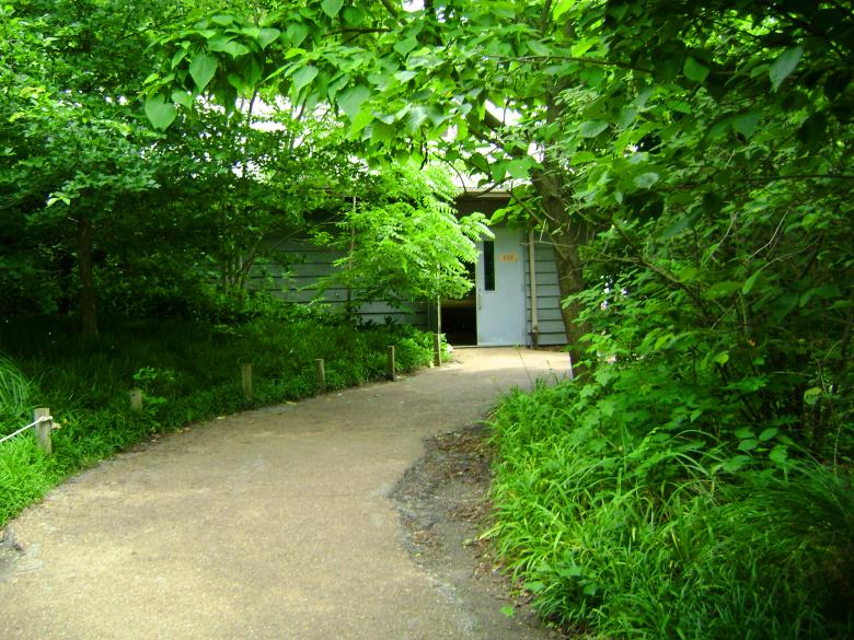 Free stock image of Hidden Path created by Lokigrl616