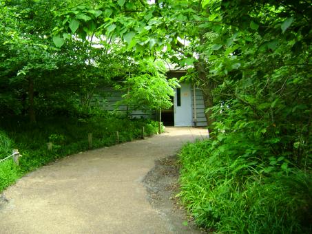 Hidden Path