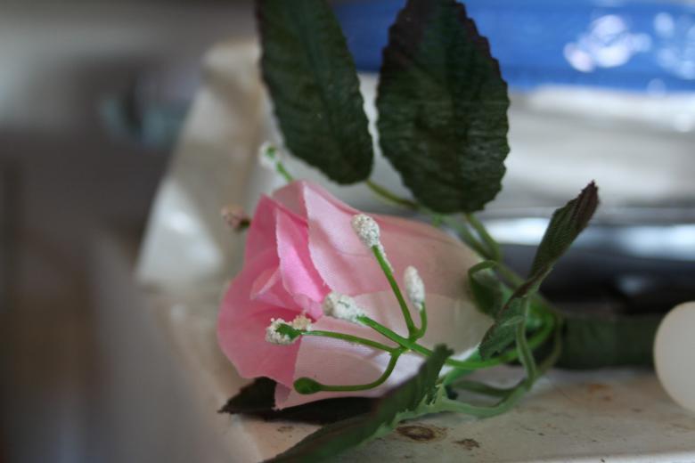 Free stock image of Fake rose created by Jessica Moreno