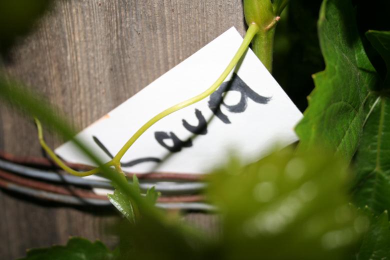 Free stock image of Note created by Jessica Moreno