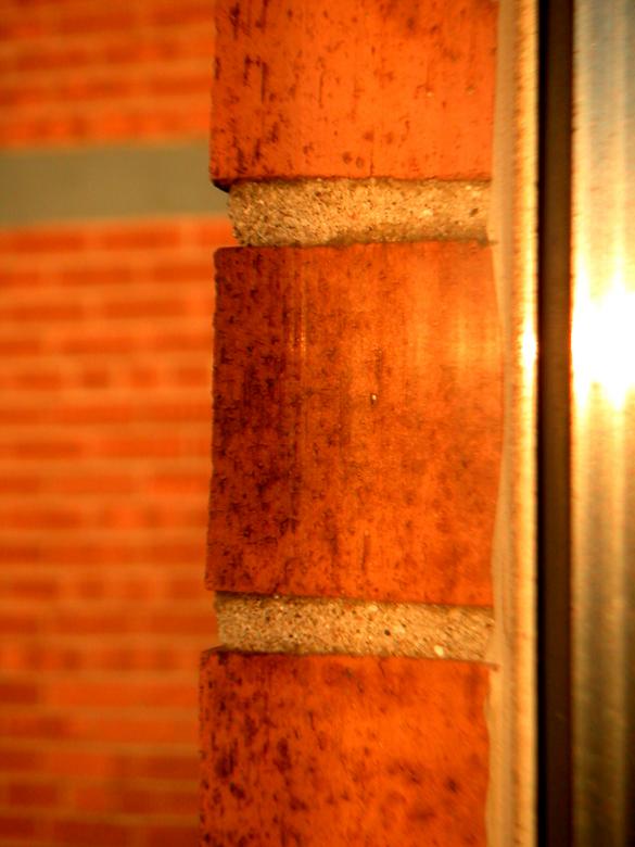 Free stock image of Sunny created by THAWK