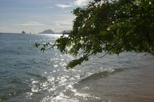 Free Stock Photo of View of the beach