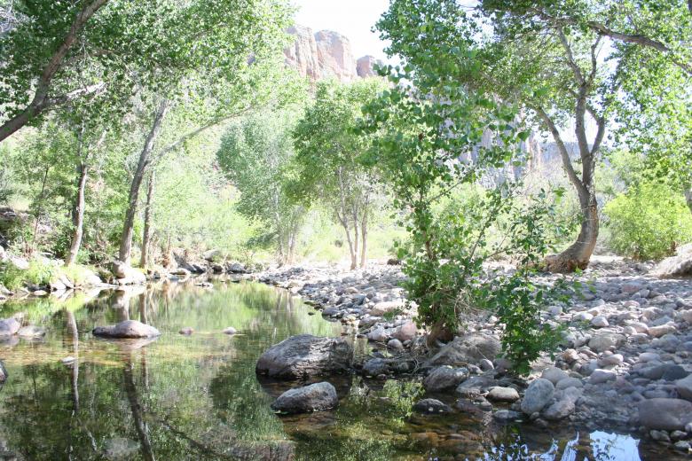 Free stock image of Arizona Beauty created by thejazzcat