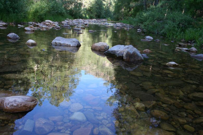 Free stock image of Nature reflections created by thejazzcat