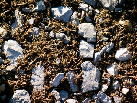 Free Stock Photo of Rock Texture