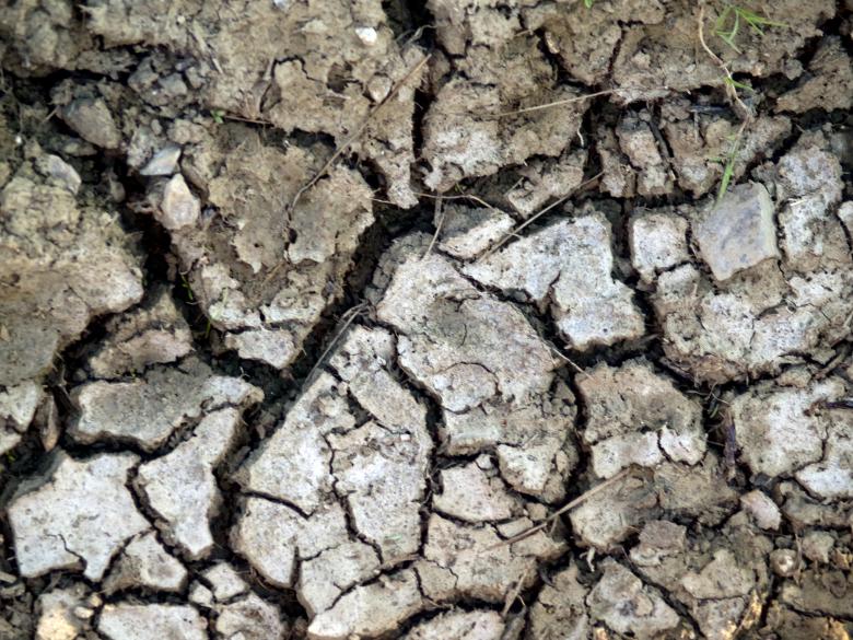 Free stock image of Cracked dirt Texture created by Alen