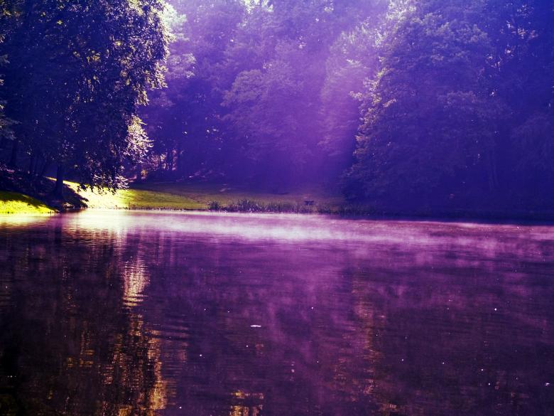 Free stock image of Lake in the woods created by Alen