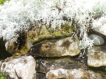 Rocks - Free Stock Photo