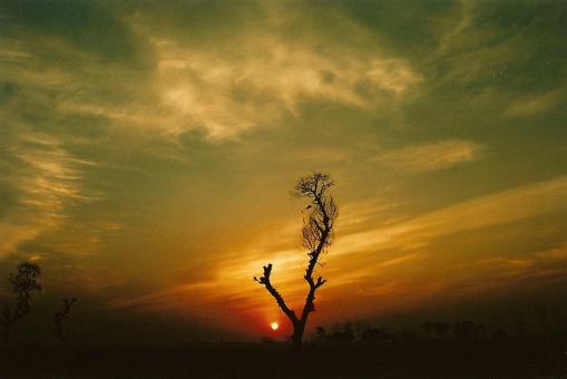 Nature is so beautiful - Free Stock Photo