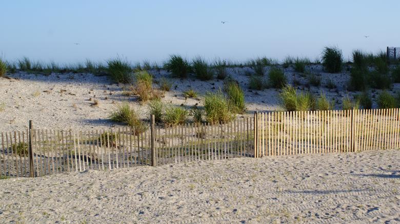 Free stock image of Atlantic City Beach created by Jackie