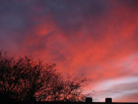 Pink Dusk - Free Stock Photo