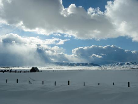Winter Colors - Free Stock Photo