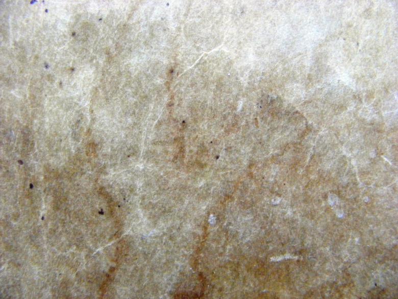 Free stock image of Old paper created by GinaRimke