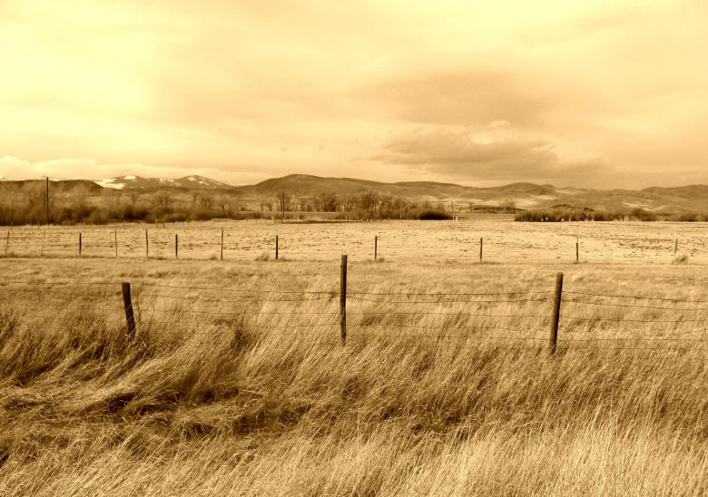 Free stock image of Vast field created by Dragomir Bogomilov