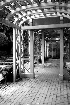 The Garden - Free Stock Photo