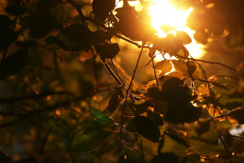 Free stock image of Sunlight created by AD