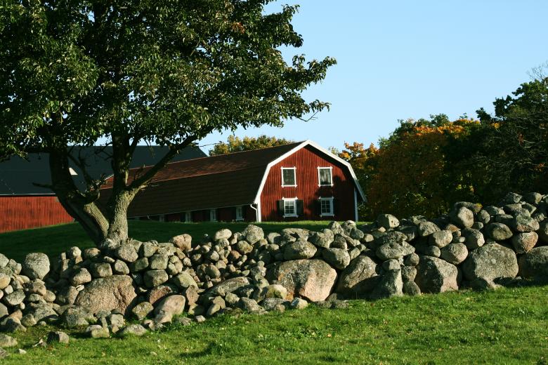 Free stock image of Farm Nature created by AD