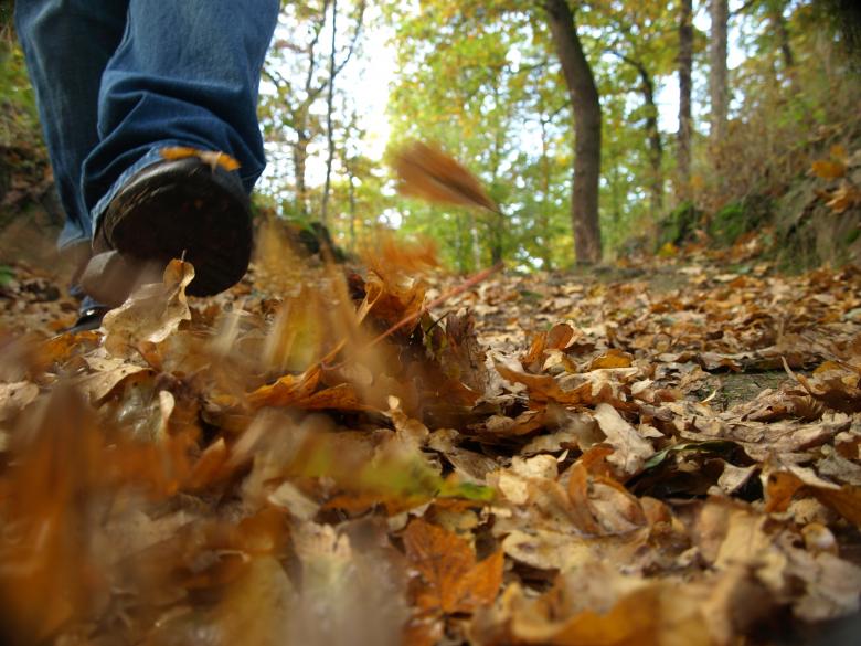 Free stock image of Man walk in park created by luckyhumek