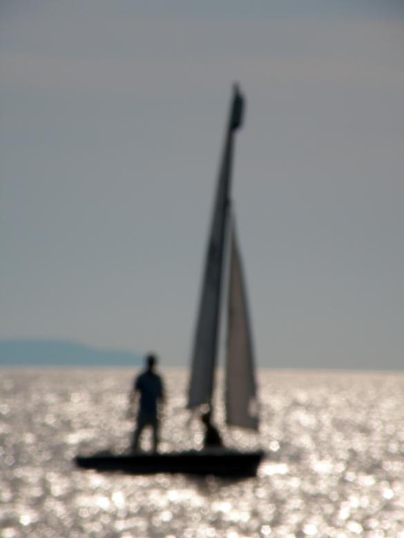 Free stock image of The Sailboat created by Furio Franceschinel