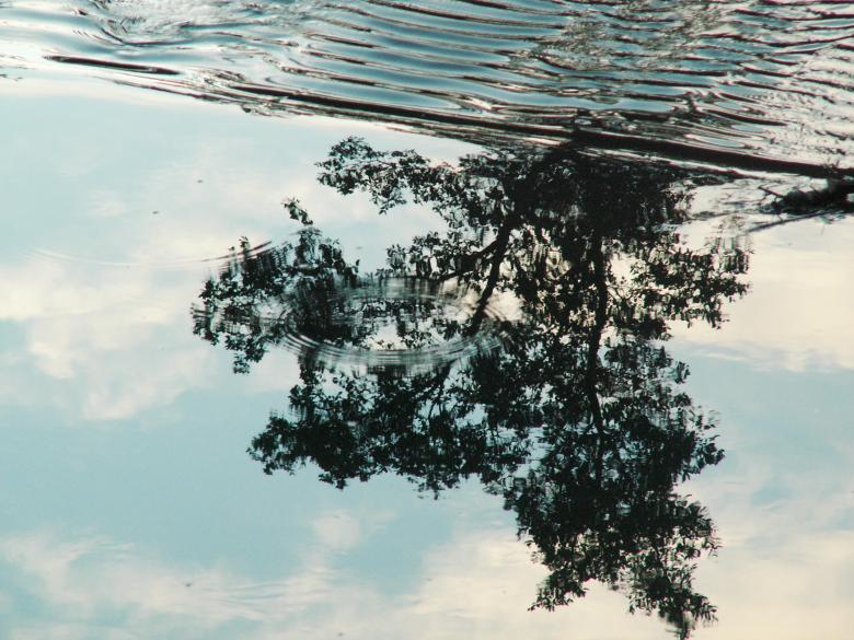 Free stock image of Water created by Paulo Sousa