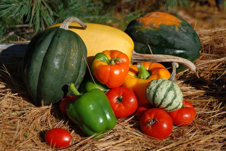Free stock image of Colors of Autumn created by Nichole