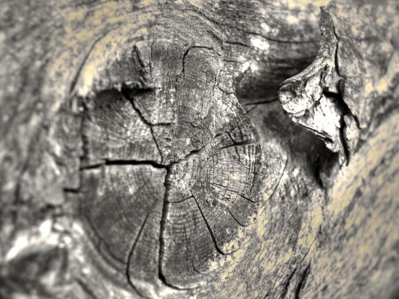 Free stock image of Wood texture created by Furio Franceschinel