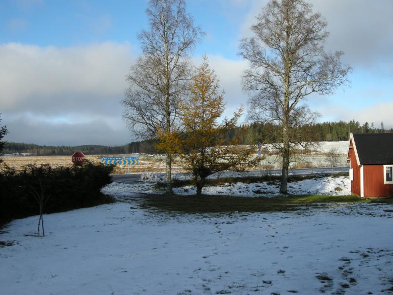 Free stock image of Winter 2008 created by Lucia Maciel