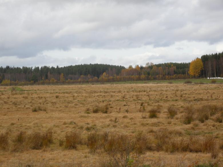 Free stock image of Fall 2008 in Sweden created by Lucia Maciel