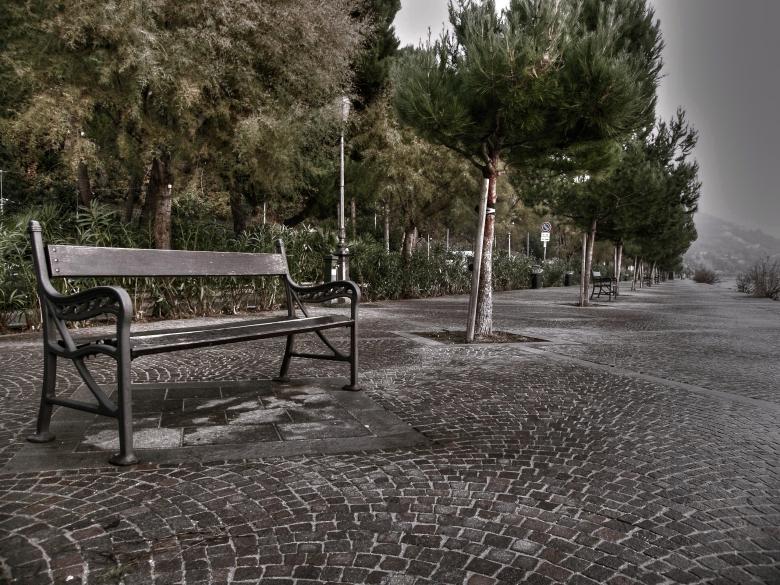 Free stock image of The Bench created by Furio Franceschinel