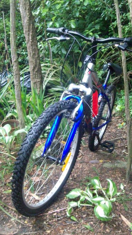 Free stock image of Radius bike at Roberts Park created by Peter Alexander Robb