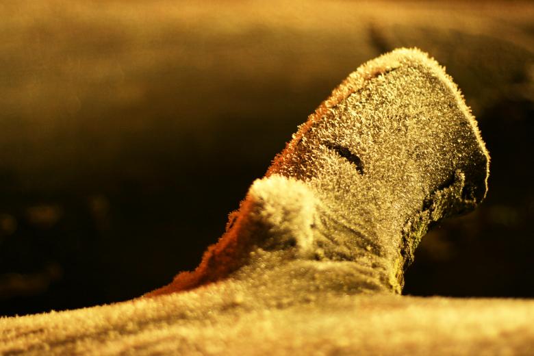 Free stock image of Frosted Tree created by AD