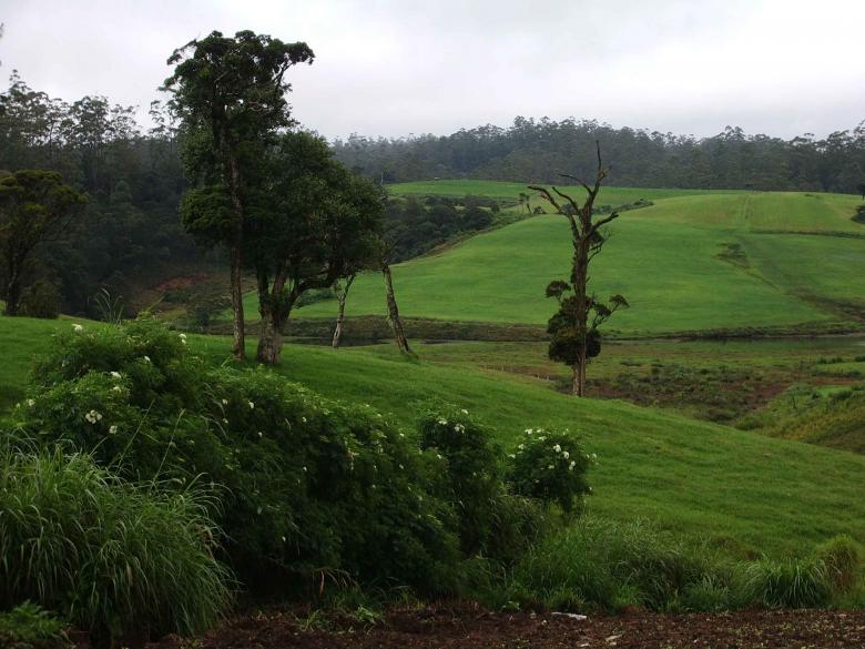Free stock image of Country scene created by Sahan Ishara