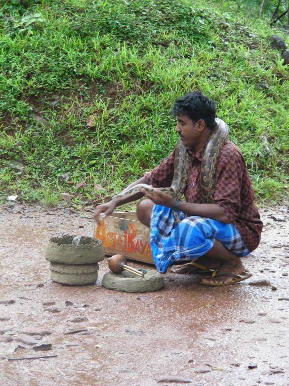 Free stock image of Snake Charmer-Sigiriya created by Sahan Ishara