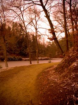 Free Stock Photo of Path