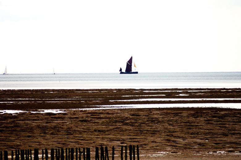 Free stock image of Peace created by Paul Harris