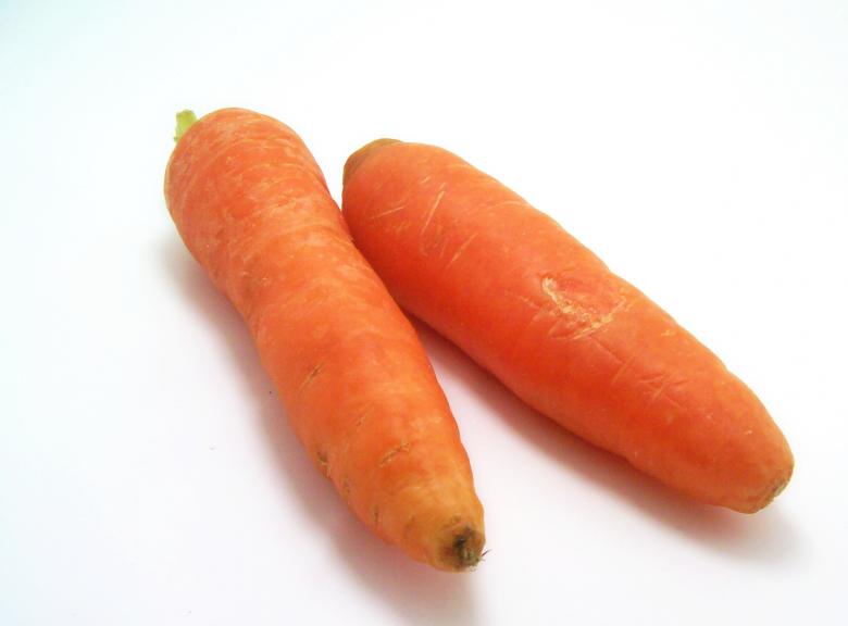 Free stock image of Carrots created by homero chapa