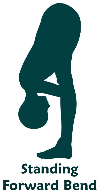 Free stock image of Standing forward bend created by massagenerd