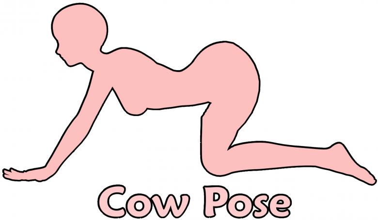 Free stock image of Cow Pose created by massagenerd