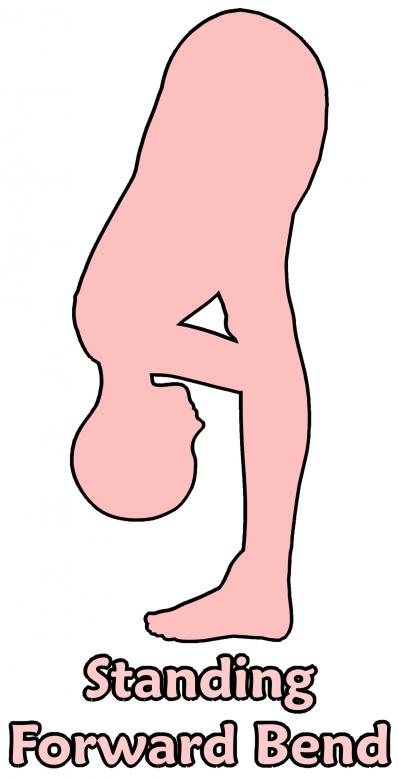 Free stock image of Standing forward bend created by massagenerd