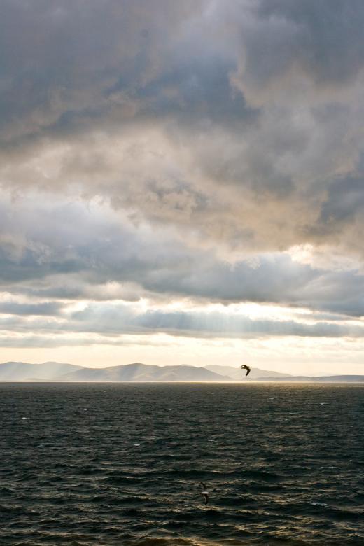 Free stock image of Sea created by Boris A Nesterov