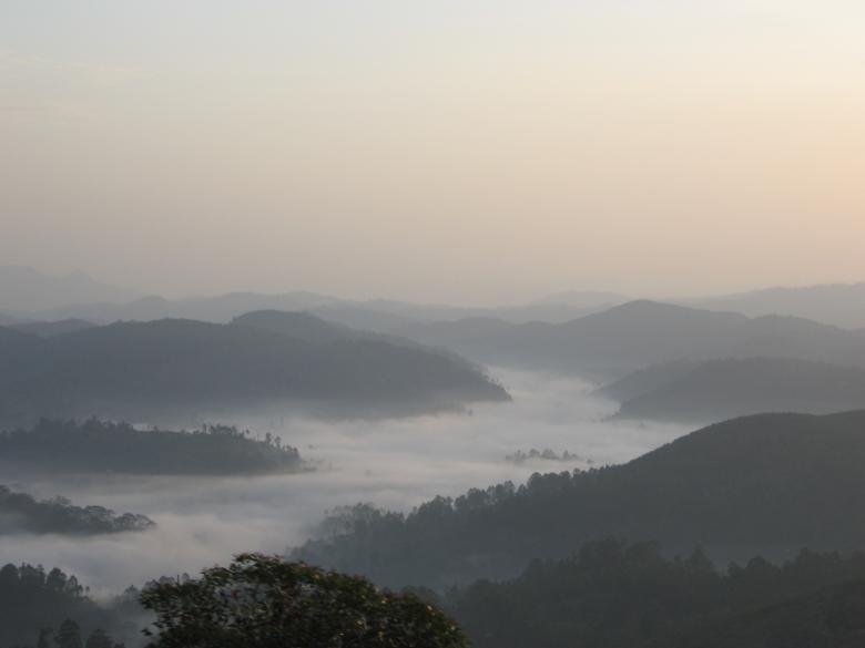 Free stock image of Fog created by Nirodha Abeywardana