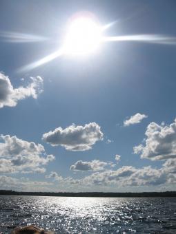 At the lake - Free Stock Photo