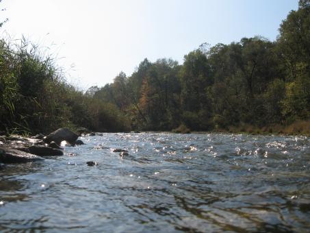 River - Free Stock Photo